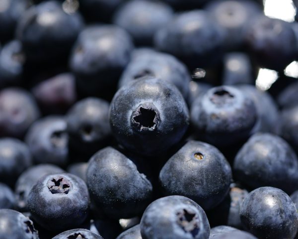 blueberry 4333034 1920